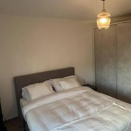 Magnifique Appartemens Aux Eaux Vives Apartment Geneva