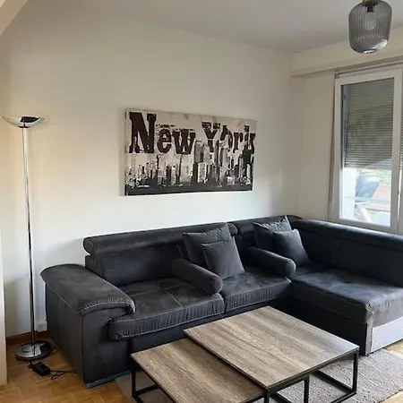 Magnifique Appartemens Aux Eaux Vives Apartment Geneva